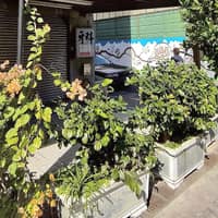 芝山牙醫診所