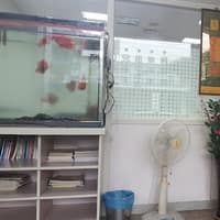 吉人牙醫診所 高雄路竹