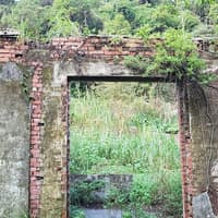 瑞芳林齒科醫院