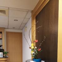 波士頓牙醫診所