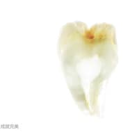 沃德忠孝牙醫診所